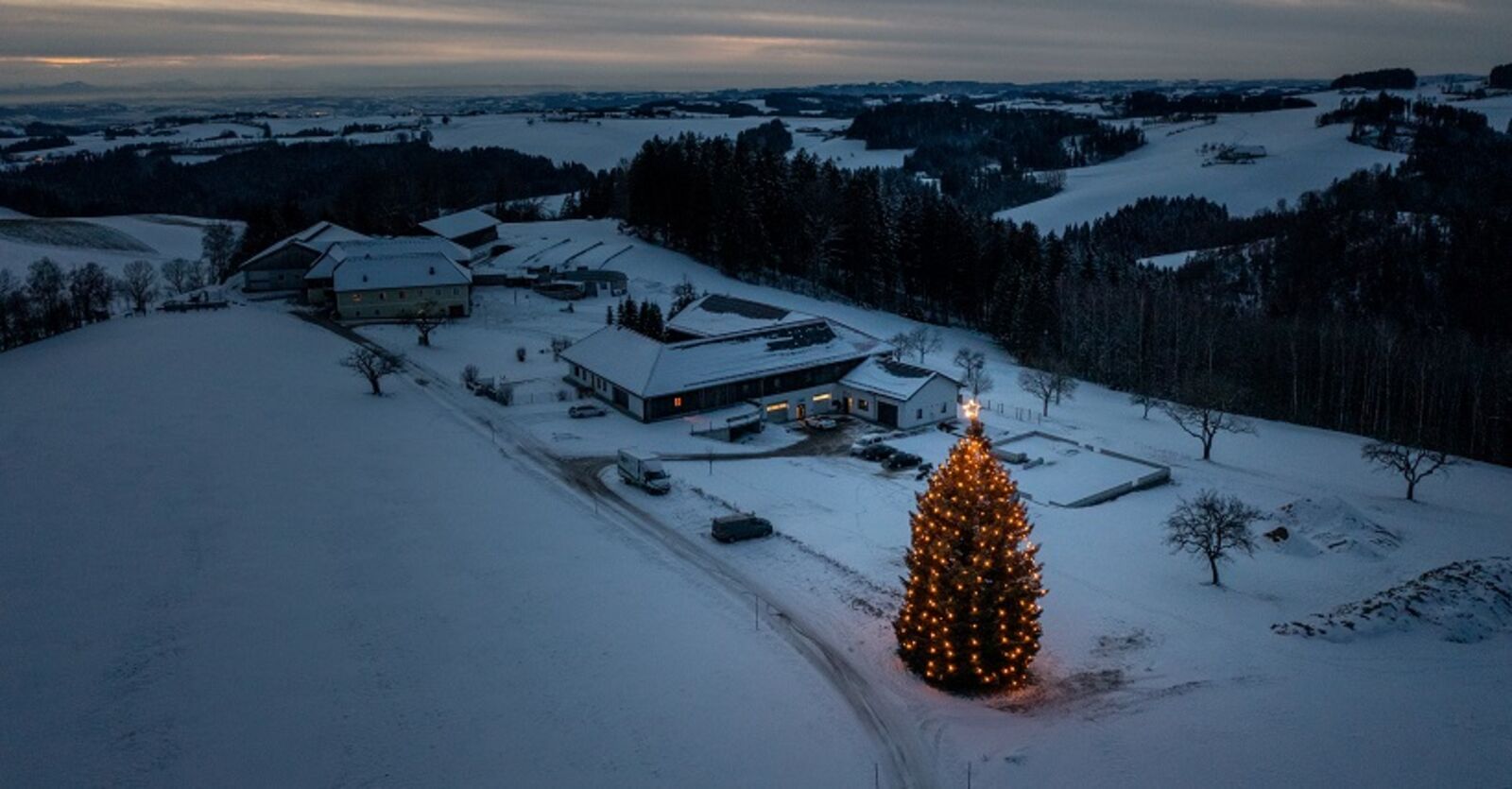 L’albero di Natale illuminato di MPW nel paesaggio invernale di Eidenberg