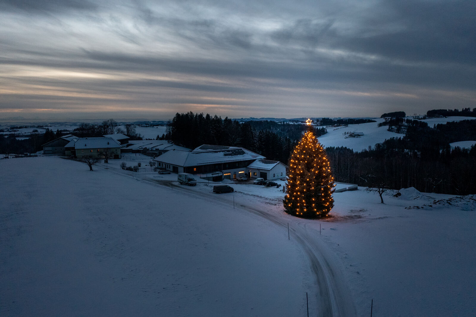 Der beleuchtete MPW-Christbaum in der winterlichen Landschaft
