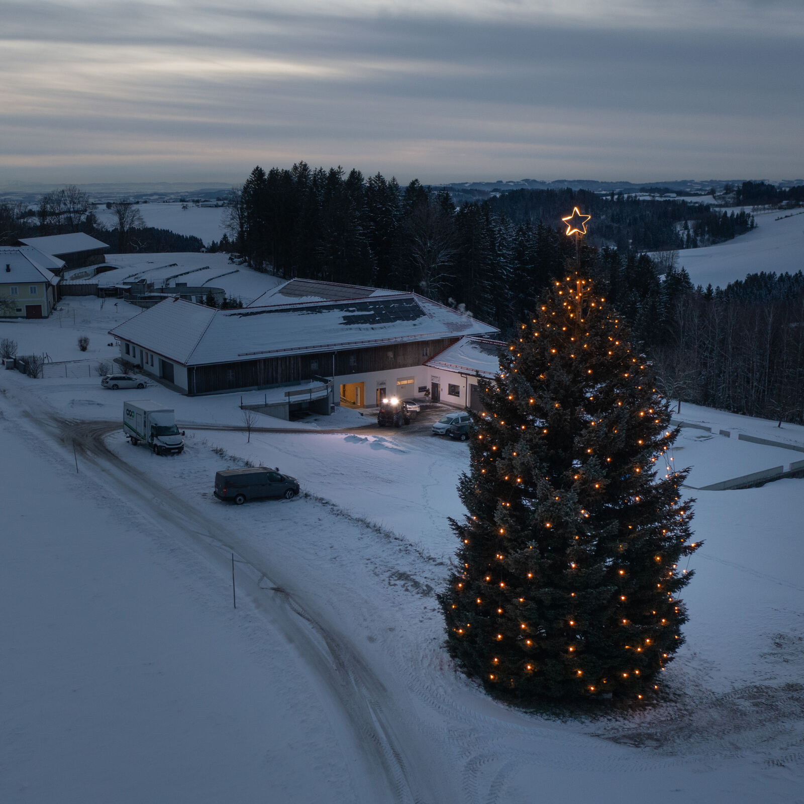 Der beleuchtete MPW-Christbaum vor der Firmenzentrale in Eidenberg
